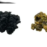 Pack Découverte Fassoukh – Fassoukh Noir, Fassoukh Blanc & Charbon Naturel