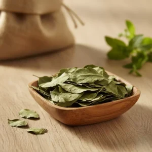 Feuilles de séné séchées utilisées dans les rituels traditionnels de purification